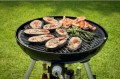 Grill gazowy Carri Chef 2 Grill Braai Combo 30-37 mbar - Cadac