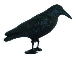 Odstraszacz ptaków wrona Crow - Yachticon
